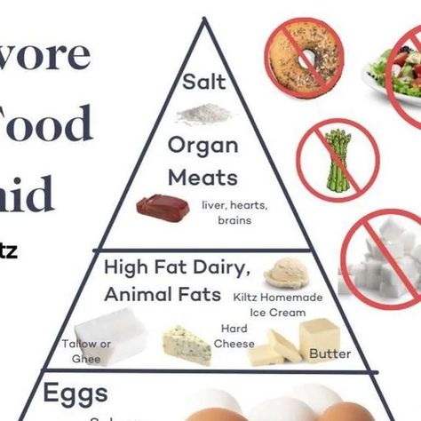 Carnivore Diet, Food Pyramid, Human Food, Nailed It, Homemade Ice Cream, Ghee, Pyramid, Ice Cream, Diet