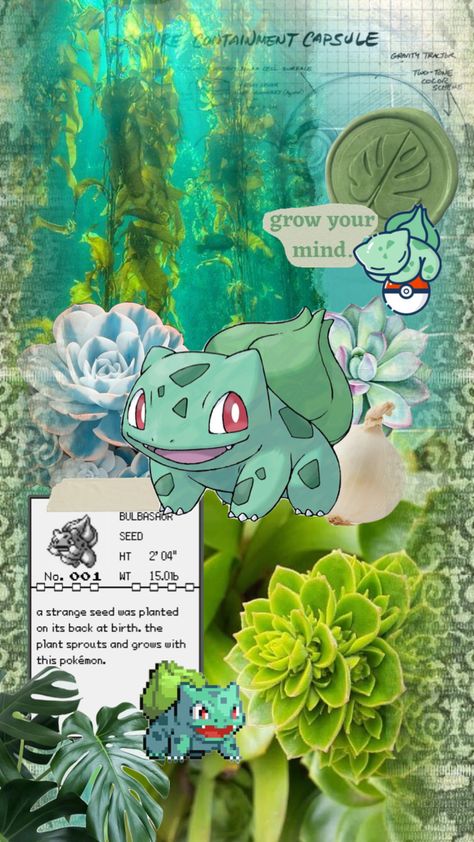 #pokemon #bulbasaur #grasspokemon #grass #poison #frog #onion #succulents #blue #green Bulbasaur Aesthetic, Poison Frog, Pokemon Bulbasaur, My Pokemon, Girly Things, Cute Wallpapers, Blue Green, Pokemon, Green