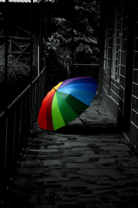 Umbrella Photography, Color Splash Photo, Color Splash Photography, Splash Photography, Umbrella Art, Black And White Background, Tapeta Pro Iphone, Black White Photos, Black And White Pictures