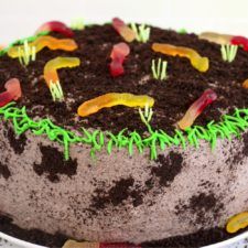 Bitz & Giggles - Delicious bitz & tips for a happy life. Oreo Dirt Cake Recipe, Oreo Cookie Butter, Dirt Cake Recipe, Oreo Dirt Cake, Dirt Cake Recipes, Oreo Frosting, Oreo Dirt, Spring Time Desserts, Dirt Cake