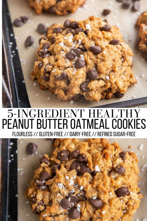 #HowToEatHealthyFood Healthy Peanut Butter Oatmeal Cookies, Peanut Butter Oatmeal Chocolate Chip, Peanut Butter Oatmeal Chocolate Chip Cookies, Fruit Appetizers, Peanut Butter Oatmeal Cookies, Oatmeal Chocolate Chip, Peanut Butter Oatmeal, Oatmeal Chocolate, Healthy Peanut Butter