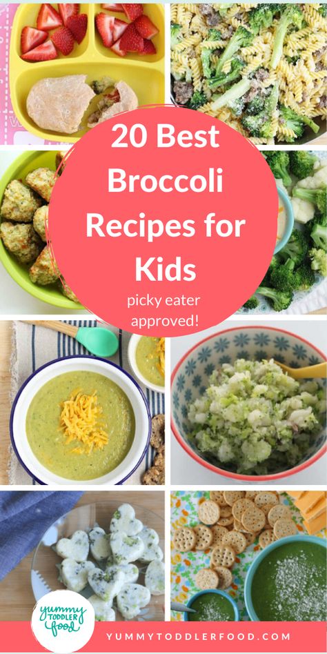 Serving up healthy broccoli recipes can be a challenge because they have to be both healthy and delicious in order for the kids to actually eat them. These 25 broccoli recipes fit the bill on both accounts! #toddlerfood #broccolirecipes #toddlermeals #healthyfood Brócoli Recipes, Healthy Broccoli Recipes, Best Broccoli Recipe, Broccoli Recipes Healthy, Recipes For Babies, Broccoli Pasta Salads, Toddler Foods, Healthy Broccoli, Kid Recipes