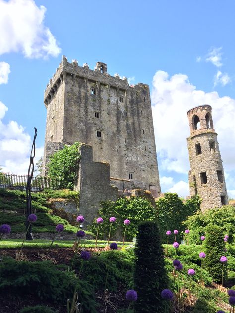 Ireland Moodboard, Irish Culture Aesthetic, Irish Aesthetic, Blarney Castle Ireland, Ireland 2023, Ireland Culture, Ireland Aesthetic, Irish Garden, Moving To Ireland