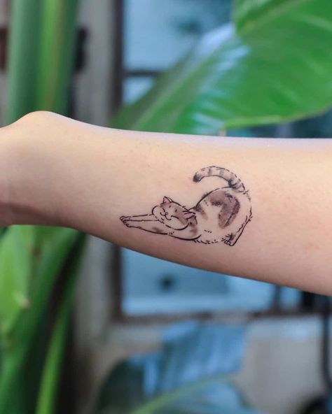 Least Painful Tattoo, Cute Cat Tattoo, Tattoo Spots, Saved Tattoo, Elements Tattoo, Back Of Shoulder Tattoo, Cat Tattoos, Cat Tattoo Designs, Tatuaje A Color