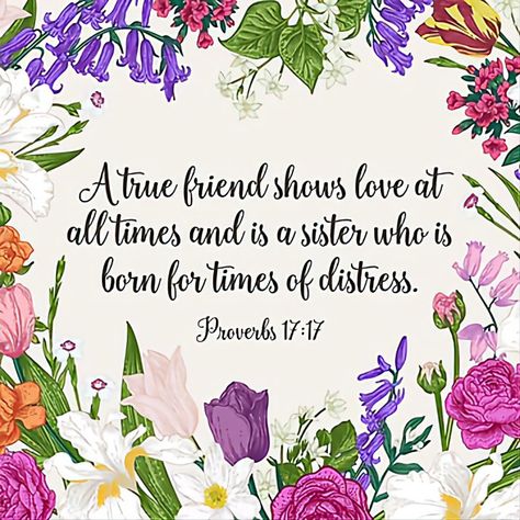 Proverbs 17:17 Proverbs Friendship Quotes, Proverbs About Friendship, Friendship Proverbs, Friendship Bible, Proverbs 17, Proverbs 17 17, About Friendship, Making Friends, Proverbs