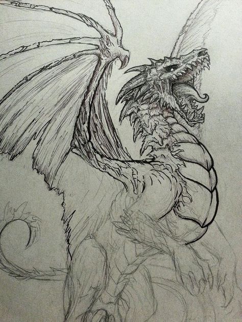 Fanticy Art, Cool Dragon Drawings, Undead Dragon, Western Dragon, Drawing Dragons, Cat Poses, Mystical Tattoos, Fantasy Animals, Dragon Sketch