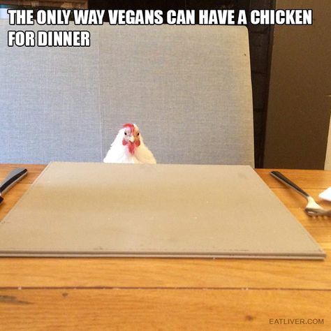 The only way vegans can have a chicken for dinner. Dinner Meme, Chicken For Dinner, Dinner Appetizers, A Chicken, Chicken Dinner, The Only Way, To Read, The Internet, Funny Pictures