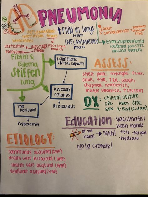 Pneumonia Nursing Notes, Pneumonia Nursing, Nurse Education, Nursing Board, Med Surg Nursing, College Nursing, Student Tips, Nursing Student Tips, Nursing School Survival