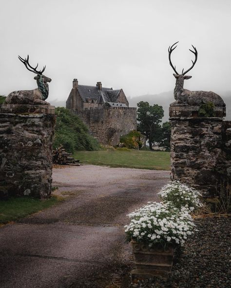 Scottish Castles, Beautiful Castles, Scotland Travel, Special Places, Historical Sites, Travel Dreams, Beautiful World, Places To See, Places To Travel