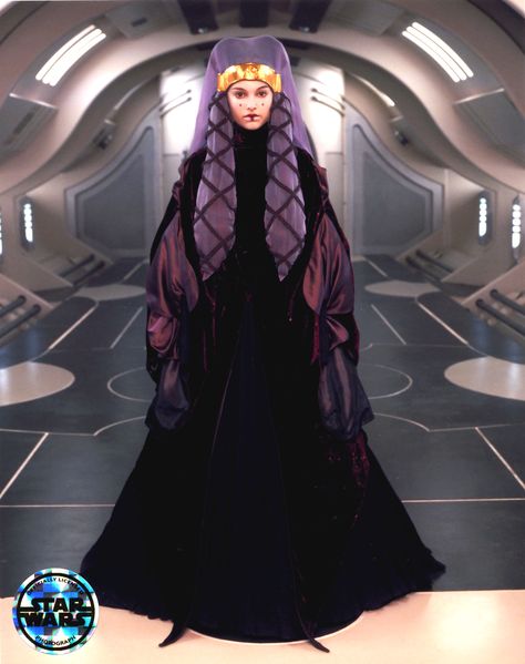 Padmé travel and funeral dress Queen Amidala Costume, Star Wars Padme Amidala, Amidala Star Wars, Queen Amidala, Star Wars Padme, Star Wars Fashion, Dark Vador, Purple Gowns, Queen Outfit