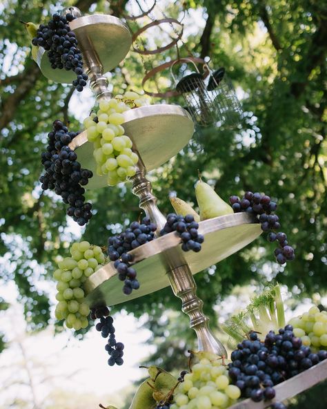 Nicole & Tanner | August 2024 | the perfect wedding week-end at the stunning @chateaudefontareches . Timeless vibes, white tableware, green grapes decor , and a gorgeous bride in @janaanncouture 🤍 Thanks @nicole.prenovost @tannerprenovost , you guys were the sweetest 🫶🏻 . Photos & Film @covaproductions WP @empreinteephemere Catering @citronpavot Flowers @le.fleuriste Rentals @options_aixenprovence Wines & spirits @pepites_de_vin Music @dj_bryce_ @sax.vibes mua @delphine.ruffini Grape Tablescape, Grape Wedding Theme, Winery Wedding Decorations, Wedding Planning Details, Wedding Vineyard, Grape Decor, White Wedding Decorations, Wedding Theme Inspiration, White Tableware