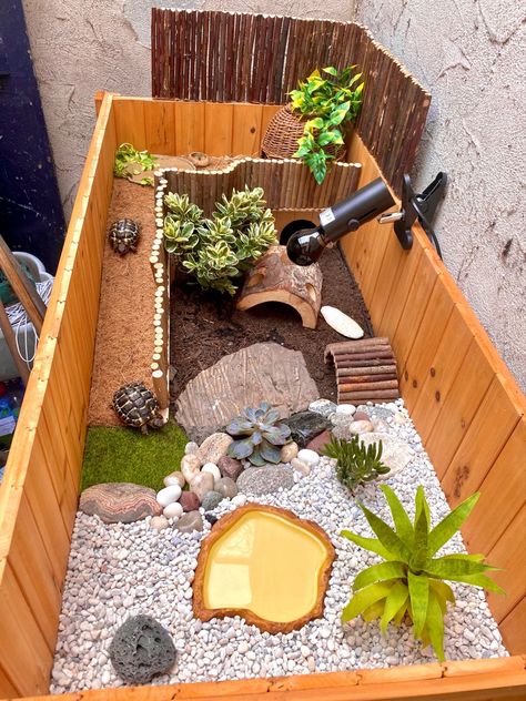 Tortoise Setup Ideas, Inside Tortoise Enclosure, Tortoise Home Ideas, Cute Tortoise Enclosure, Turtle Table Tortoise Habitat, Cool Tortoise Enclosure, Turtle House Ideas, Turtle Incloser, Tortoise Enclosure Decor