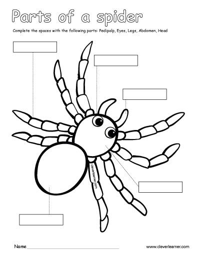 Parts Of A Spider, Spiders Preschool, Spider Writing, Spider Printable, The Very Busy Spider, Spider Activities, Elementary Worksheets, Kindergarten Writing Prompts, Wedding Card Template