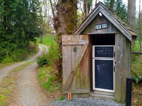 Roadside Egg Stand, Roadside Farm Stand, Fort Langley, Urban Chicken, Urban Chicken Farming, Langley Bc, Eggs For Sale, Golf Pictures, Egg Stand