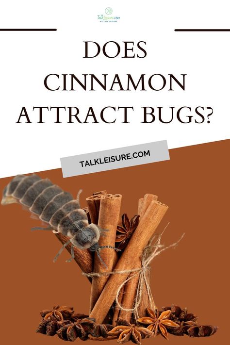 Cinnamon is a natural insecticide, and its fragrance helps to keep bugs away. In addition, cinnamon can help to deter ants, moths, and other pests. Simply sprinkle some cinnamon around areas where you don’t want bugs to congregate, such as doorways, windowsills, and counters. Cinnamon Spray For Bugs, Cinnamon Bug Spray, Cinnamon In Witchcraft, How To Use Cinnamon Powder To Attract Money, Getting Rid Of Nats, What Does Cinnamon Do In Witchcraft, Benefits Of Cinnamon Sticks, Cinnamon Uses, Cinnamon Water