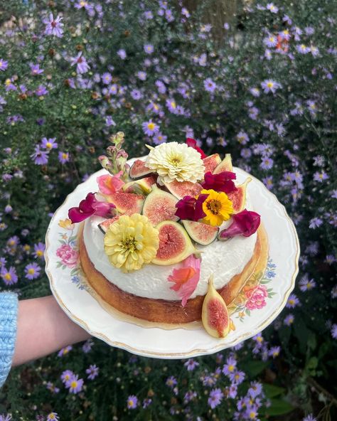 Olive oil cake topped with honey and almond marscapone cream 🤍 | Instagram Minimalistic Cakes, Marscapone Cream, Cake Presentation, Opening A Bakery, Oil Cake, Olive Oil Cake, Fall Cakes, Pastry Art, 23rd Birthday