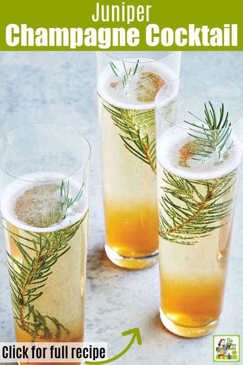 Dinner Party Planning, Sparkling Wine Cocktails, Ski Wedding, Champagne Recipes Cocktails, Champagne Drinks, Holiday Brunch, Cocktail Ingredients, Champagne Cocktail, Juniper Berry