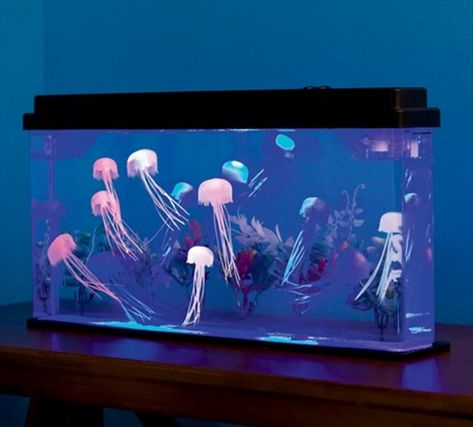 Stress-relieving products for the most wonderful time of the year. Jellyfish Tank Aquarium, Giant Jellyfish, Diy Jellyfish, Jellyfish Illustration, Jellyfish Tank, Jellyfish Photography, Jellyfish Decorations, Jellyfish Aquarium, Watercolor Jellyfish