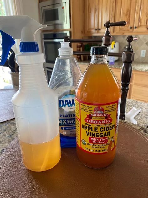 Best Homemade Bug Repellent Recipe | Hometalk How To Repel Flies, Bug Deterrent, Homemade Bug Repellent, Repel Flies, Potato Box, How To Get Rid Of Gnats, Dawn Dish Soap, Banana Peel, Best Shakes