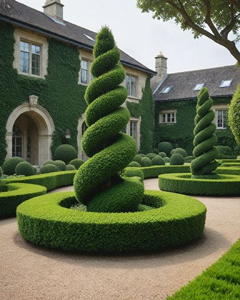 Boxwood Topiary Garden, Trees In Pots Outdoors, Boxwood Garden, Garden Hedges, Front Garden Landscape, Courtyard Gardens Design, Topiary Garden, Diy Backyard Landscaping, Fence Landscaping