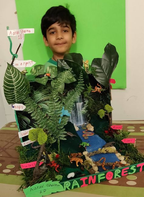 Jaguar Habitat Project For Kids, Rainforest Habitat Shoebox Project, Rainforest School Project, Shoe Box Rainforest Project, Shoe Box Ecosystem School Projects, Rainforest Shoebox Project, Shoe Box Habitat Projects, Rainforest Habitat Diorama, Forest Diorama Shoebox School Projects