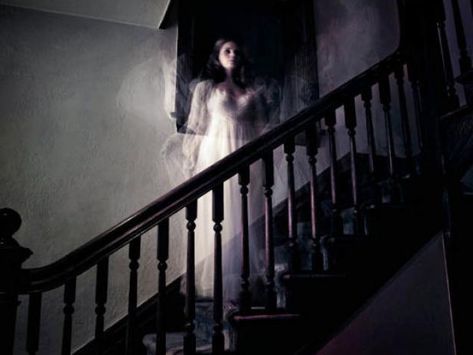 Leave the lights on when you read these bone-chilling stories of average people encountering the paranormal. Scary Ghost Stories, Assata Shakur, Alien Sightings, Ghost Sightings, Ghost Videos, White Figures, Witch Books, Paranormal Activity, The Other Guys