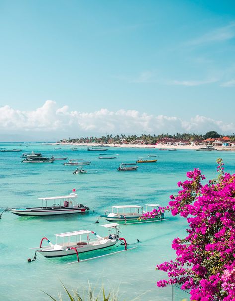 Bali Itinerary, Nusa Lembongan, Palm Trees, Blue Sky, Bali, Trees, Water, Flowers, Blue