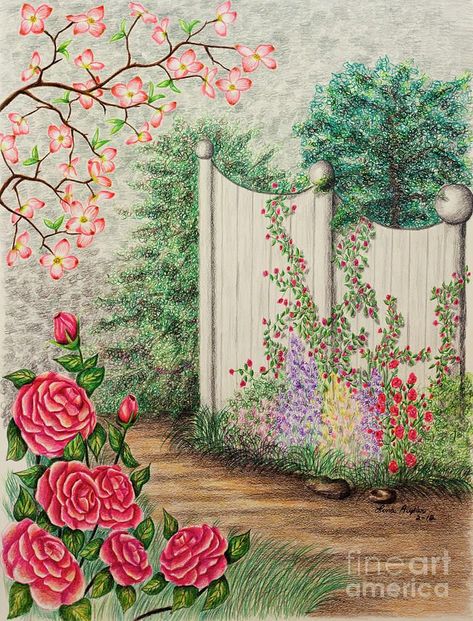 Flowers Color Pencil, Garden Drawing Ideas, Pink Dogwood, Rose Wall Art, Garden Illustration, Drawing Color, Garden Walkway, Flowers Color, Rose Wall