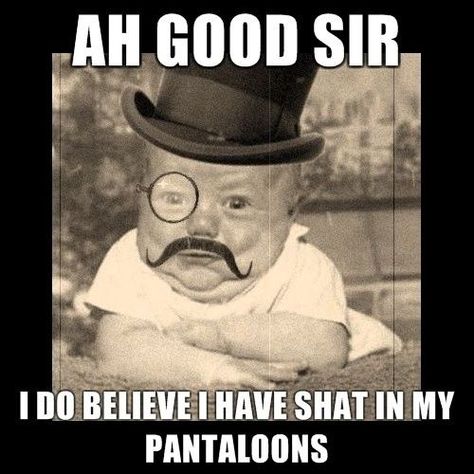 ah good sir, I do believe I have shat in my pantaloons. Can't Stop Laughing, Memes Humor, Snickerdoodles, E Card, Laughing So Hard, I Smile, Top Hat, Bones Funny, Funny Babies