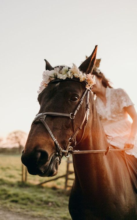 A wedding planner’s guide to eloping in the English countryside Bouquet Wedding Boho, Schwabacher Landing, Diamond Cross Ranch, Modern Glam Wedding, London Elopement, English Countryside Wedding, Wedding Planner Guide, Grand Targhee, Mountain Wedding Ideas