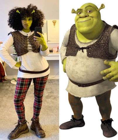 Shrek Costume Diy, Shrek And Fiona Costume, Shrek Dress, Sheet Costume, Fiona Costume, Rave Halloween Costumes, Badass Halloween Costumes, Shrek Costume, Hot Halloween Outfits