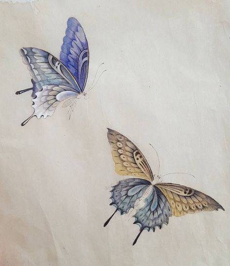 Japanese Butterfly, Borboleta Tattoo, Butterfly Drawings, Korean Painting, Asian Painting, Iranian Art, Butterfly Drawing, China Painting, Butterfly Painting