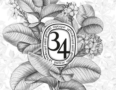 Dyptique Branding, Diptyque Illustration, Diptyque Packaging, Diptyque Logo, Wine Label Inspiration, Victorian Lettering, Massage Logo, Beauty Advertising, Business Branding Inspiration