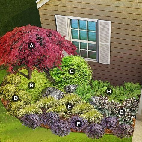 [Ad] 62 Most Popular Plants For Japanese Garden Landscaping Recommendations You'll Be Glad You Discovered At Once #plantsforjapanesegardenlandscaping Flower Bed With Japanese Maple, Japanese Maple And Hostas, Weeping Japanese Maple Tree Landscape, Japanese Maple Companion Plants, Fenceline Plants, Japanese Maple Landscaping, Japanese Maple Landscape, Japanese Laurel, Japanese Maple Tree Landscape