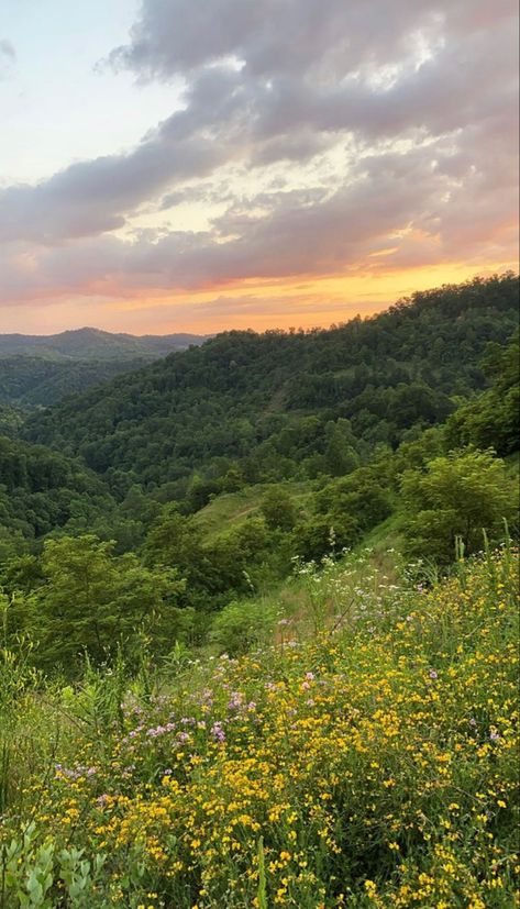 Kentucky Mountains, Kentucky Sunset, Sunset Wildflowers, Fleet Foxes, Mountain Sunset, When I Die, Blue Ridge Mountains, Sunset Pictures, Take Me Home