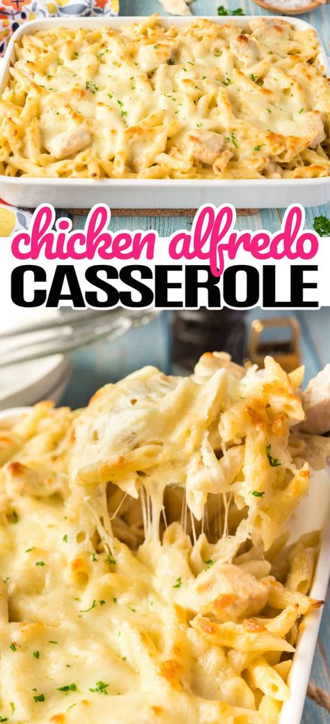 Fetuchini Alfredo, Casserole Pasta, Alfredo Pasta Bake, Creamy Chicken Alfredo, Baked Chicken Alfredo Pasta, Alfredo Casserole, Chicken Alfredo Casserole, Chicken Pasta Casserole, Cheesy Chicken Pasta