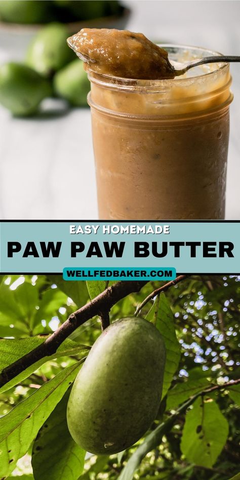 Paw Paw Butter - Well Fed Baker Paw Paw Bread Recipe, Paw Paw Fruit Recipes, Paw Paw Recipes, Pawpaw Recipes, Paw Paw Fruit, Papaya Recipes, Diy Oatmeal, Homestead Recipes, Persimmon Recipes