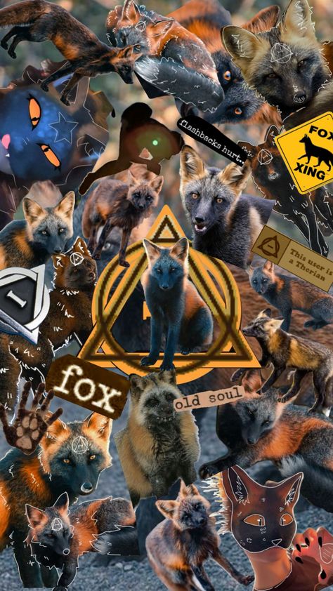 ☆ Cross-Fox Therian ☆ #crossfox #crossfoxtherian #crossfoxwallpaper #therian #therianthropy #therianbackground #therianwallpaper Prince Meme, Fox Therian, Cross Fox, Yin Yang Art, Wolf Mask, Maybe In Another Life, In Another Life, Fox Art, Calico Cat