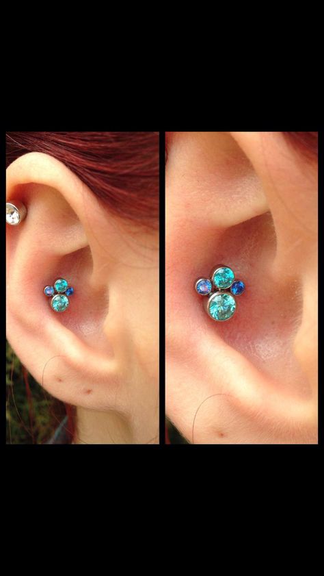 Shiny cluster from Anatometal pierced by me in inner conch ❤️ Piercing Combinations, Ear Piercing Combinations, 3 Ear Piercings, Inner Conch, Seattle Tattoo, Tattoo Expo, Types Of Ear Piercings, Diy Easter Gifts, Conch Earring