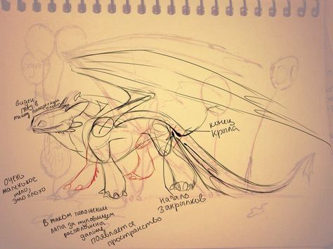 a good atomomy of the nf Night Fury Anatomy, How To Draw Night Fury, Night Fury Reference Sheet, Night Fury Art, Night Fury Base Drawing, Nightfury Anatomy, Toothless Sketch Night Fury, Httyd Night Fury Art, How To Do Drawing