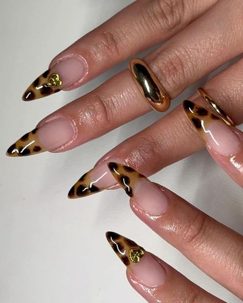 Bb Nails, Shell Nails, Summer Nails Almond, Cheetah Nails, Nail Designs Tutorial, Drip Nails, Minimal Nails, French Tip Acrylic Nails, Nails 2024