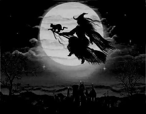 Flying in the darkness Halloween Witch Brooms, Happy Halloween Pictures, Space Iphone Wallpaper, Witch Pictures, Witch Queen, Mythical Monsters, Teen Witch, Witch Party, New Moon Rituals