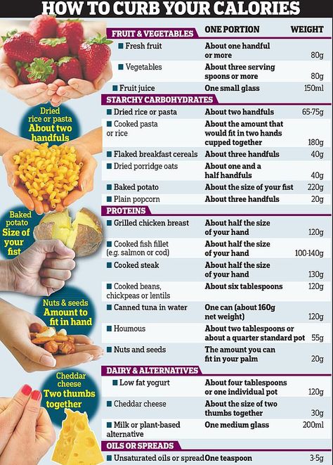 Nutritionists launch portion size guide to tackle overeating  | Daily Mail Online Portion Size Guide Measuring Cups, Portion Size Guide For Women, Portion Controlled Meals Aesthetic, Portion Meals, Portion Size Guide, Food Portion Sizes, Portion Size, Protein Baking, Healthy Plate