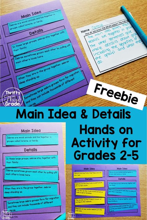 How To Teach Main Idea 3rd Grade, 2nd Grade Main Idea And Details, Non Fiction Reading Activities, Teaching Main Idea 3rd Grade, How To Teach Main Idea, 3rd Grade Main Idea And Details, Central Idea 3rd Grade, Teaching Main Idea 4th Grade, Main Idea Lessons 3rd