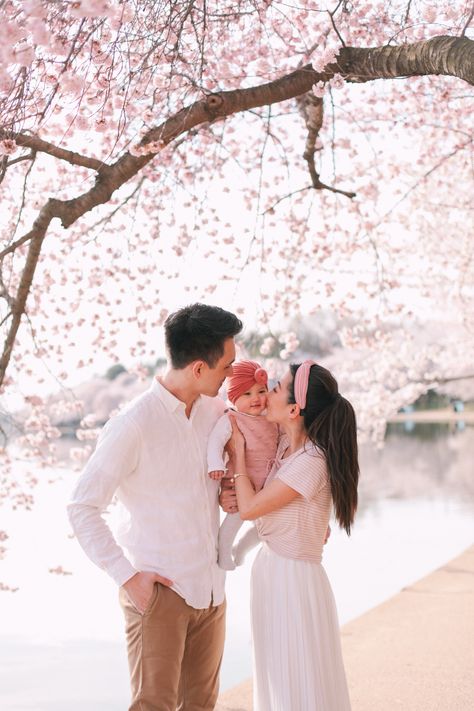 cherry blossoms spring family photo outfit ideas Family Potraits Idea With Baby, Cherry Blossom Family Pictures Outfits, Cherry Blossom Photoshoot Outfit Family, Cherry Blossom Family Photos, Cherry Blossom Photoshoot Family, Family Photos Cherry Blossoms, Cherry Blossom Photoshoot, Cherry Blossom Baby Photoshoot, Photos With Cherry Blossoms