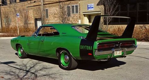 1969 Dodge Charger Daytona, 69 Dodge Charger, Dodge Hemi, Mopar Girl, Plymouth Superbird, Dodge Daytona, Dodge Charger Daytona, 1969 Dodge Charger, Dodge Muscle Cars