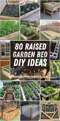 Bed Diy Ideas, Patio Raised Garden Beds, Raised Garden Bed Diy, Garden Bed Diy, Easy Garden Beds, Making Raised Garden Beds, Wood Garden Beds, Garden Bed Layout, Metal Garden Beds