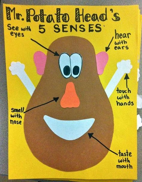 Teaching in the Net 5 Senses Craft, 5 Senses Preschool, Five Senses Preschool, 5 Senses Activities, Senses Preschool, My Five Senses, Senses Activities, Mr Potato, Mr Potato Head