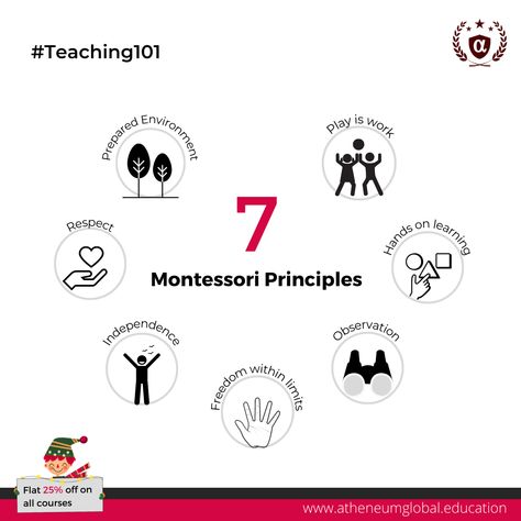 A static post showing 7 principle of Montessori education Montessori Theory, Montessori Teacher, Love Of Learning, Teaching Career, Montessori Education, Online Teachers, Hands On Learning, Montessori Activities, Early Childhood Education