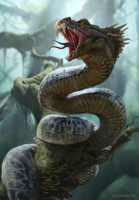 Snake Monster, Snake Dragon, Giant Snake, Monster Artwork, Snake Wallpaper, Mythical Creatures Fantasy, Witcher Art, Mythical Dragons, Snake Art